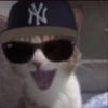 catcarjr
